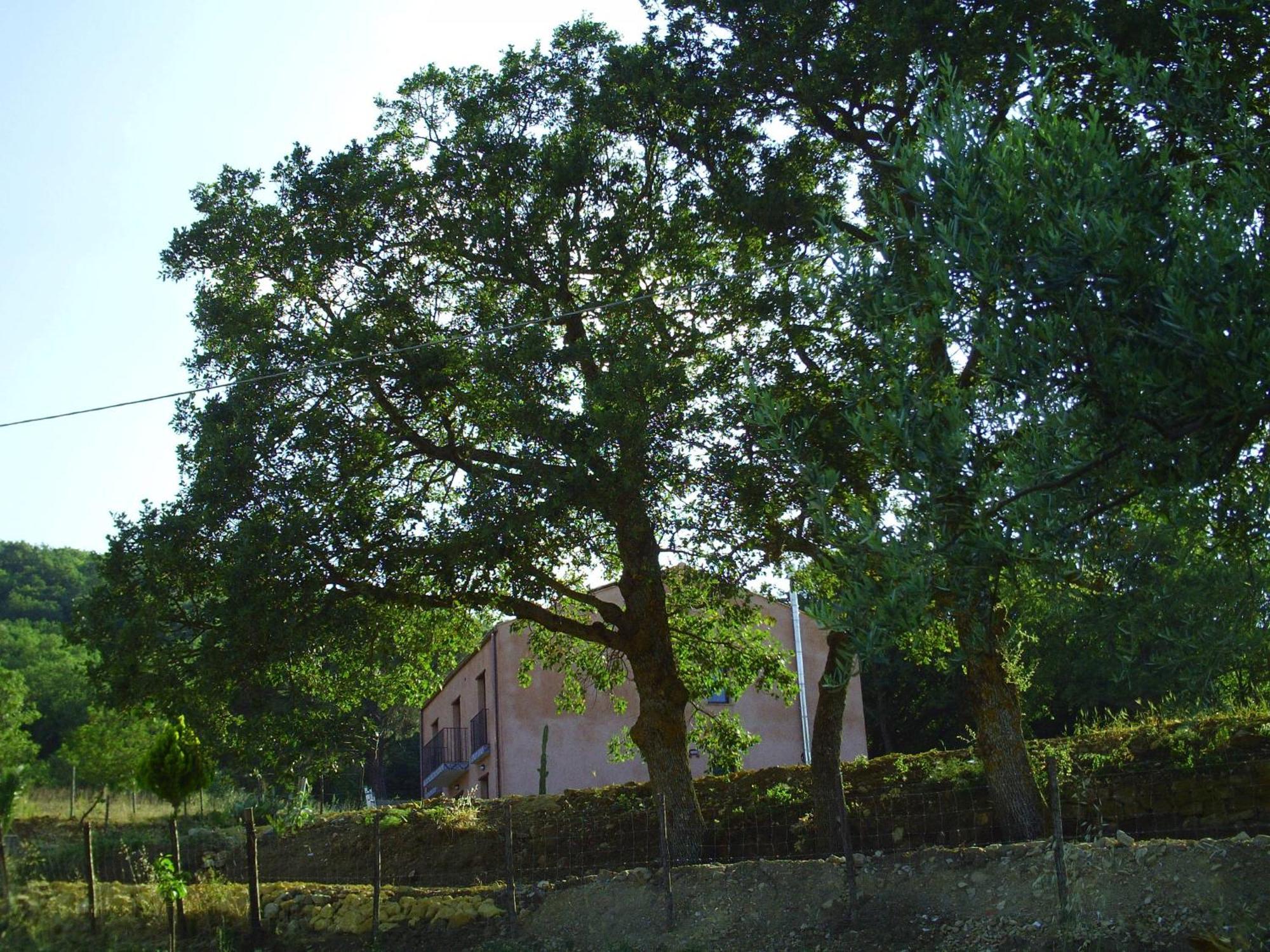 Agriturismo San Pietro Gangi Exteriör bild