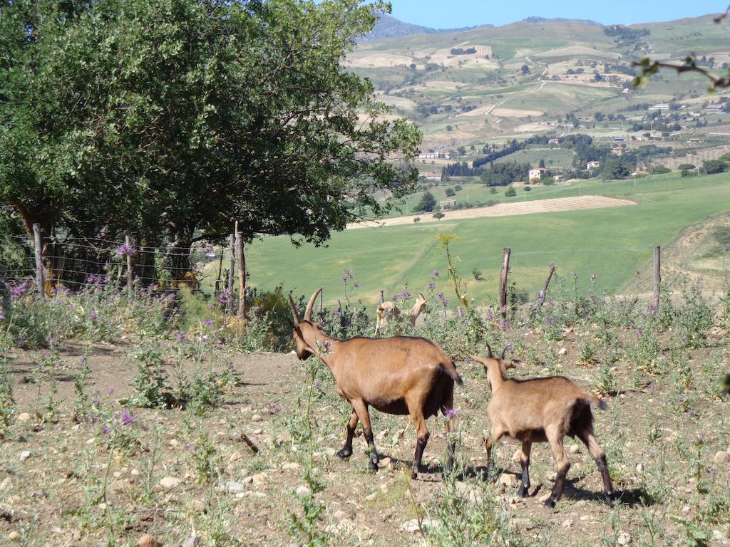 Agriturismo San Pietro Gangi Exteriör bild