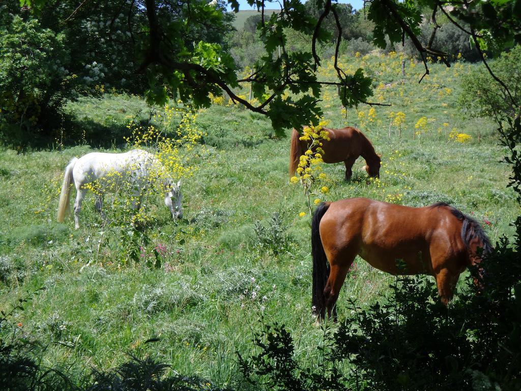 Agriturismo San Pietro Gangi Exteriör bild
